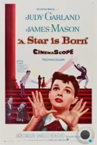 Звезда родилась / A Star Is Born (1954) BDRip