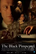 Черная гвоздика / The Black Pimpernel (2007) DVDRip