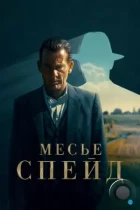 Месье Спейд / Monsieur Spade (2024) WEB-DL