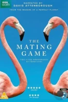 Брачная игра / The Mating Game (2021) WEB-DL