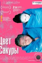 Цвет сакуры / Kirschblüten - Hanami (2007) BDRip