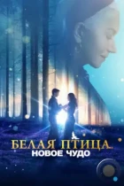 Белая птица: Новое чудо / White Bird (2023) BDRip