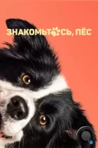 Знакомьтесь, пёс / Řekni to psem (2022) WEB-DL