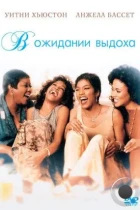 В ожидании выдоха / Waiting to Exhale (1995) WEB-DL