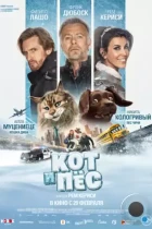 Кот и пёс / Chien et chat (2024) WEB-DL