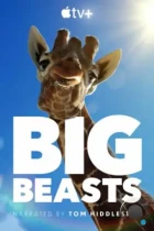 Великаны планеты / Big Beasts (2023) WEB-DL