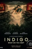 Индиго / Indigo (2023) WEB-DL