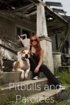 На свободу с питбулем / Pit Bulls and Parolees (2009) SATRip