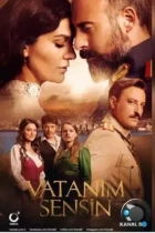 Ты моя Родина / Vatanim Sensin (2016) WEB-DL