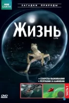 BBC: Жизнь / Life (2009) BDRip