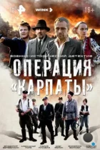 Операция «Карпаты» (2024) WEB-DL