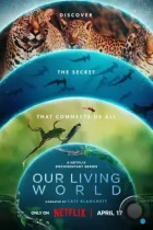 Наш живой мир / Our Living World (2024) WEB-DL