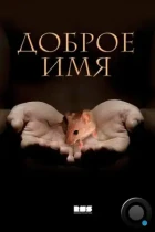 Доброе имя (2014) WEB-DL