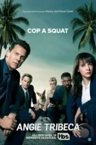 Энджи Трайбека / Angie Tribeca (2016) HDTV