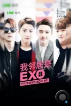 Мои соседи EXO / EXO Next Door (2015) WEB-DL