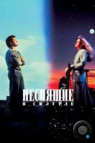 Неспящие в Сиэтле / Sleepless in Seattle (1993) BDRip