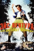 Эйс Вентура 2: Когда зовет природа / Ace Ventura: When Nature Calls (1995) WEB-DL