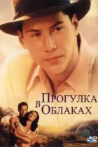 Прогулка в облаках / A Walk in the Clouds (1995) BDRip