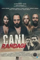 Бродячие псы / Cani randagi (2023) WEB-DL