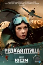 Редкая птица (2024) WEB-DL