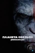 Планета обезьян: Революция / Dawn of the Planet of the Apes (2014) BDRip