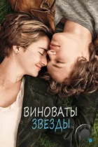 Виноваты звезды / The Fault in Our Stars (2014) BDRip