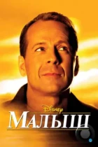 Малыш / The Kid (2000) WEB-DL