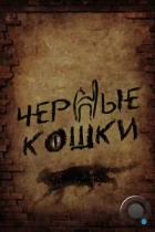 Черные кошки (2013) WEB-DL