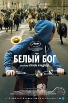 Белый Бог / Fehér isten (2014) BDRip