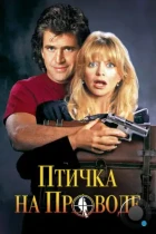 Птичка на проводе / Bird on a Wire (1990) WEB-DL