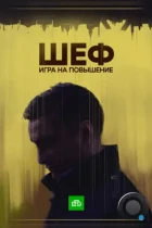 Шеф. Игра на повышение (2016) WEB-DL