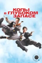 Копы в глубоком запасе / The Other Guys (2010) BDRip