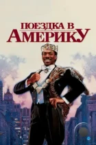 Поездка в Америку / Coming to America (1988) BDRip