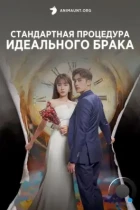 Стандартная процедура идеального брака / Standard Procedure of Perfect Marriage / Wanbyeokhan Gyeolhonui Jungseok (2023) WEB-DL