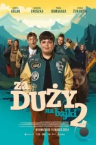 Слишком взрослый для сказок 2 / Za duzy na bajki 2 (2024) WEB-DL