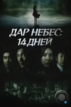 Дар небес: 14 дней / Sinui seonmul - 14il (2014) WEB-DL