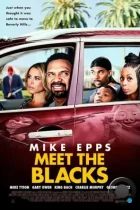 Знакомьтесь, семейка Блэков / Meet the Blacks (2016) BDRip