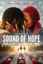 Звук надежды: История Поссум Трот / Sound of Hope: The Story of Possum Trot (2024) WEB-DL