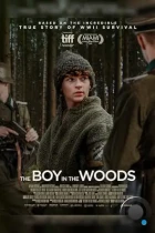 Мальчик в лесу / The Boy in the Woods (2023) WEB-DL