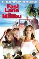 С ветерком в Малибу / Fast Lane to Malibu (2000) DVDRip