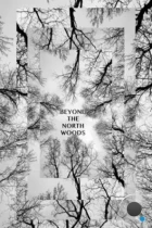 За Северным лесом / Beyond the North Woods (2022) WEB-DL