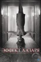 Эффект Лазаря / The Lazarus Effect (2013) BDRip