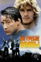 На гребне волны / Point Break (1991) BDRip