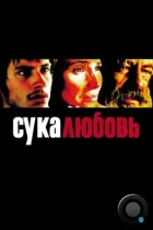 Сука-любовь / Amores perros (2000) BDRip