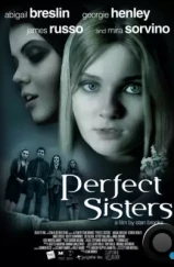 Школьный проект / Perfect Sisters (2013) L2