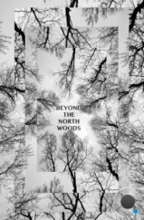 За Северным лесом / Beyond the North Woods (2022)