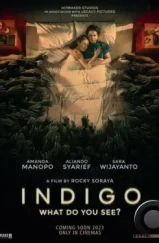 Индиго / Indigo (2023)