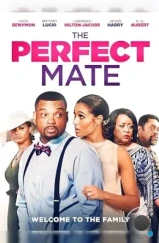 Идеальный партнёр / The Perfect Mate (2020)