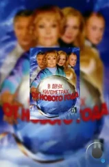 В двух километрах от Нового года (2004)