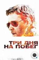 Три дня на побег / The Next Three Days (2010)